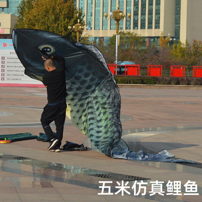 潍坊风筝新款高档仿真红黑鲤鱼大型成人长尾超大易飞专业线轮套餐