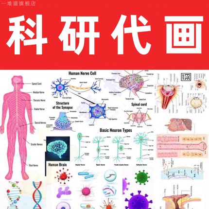 科研绘图代画ppt医学插图sci期刊封面建模示意图toc作图机制图3d