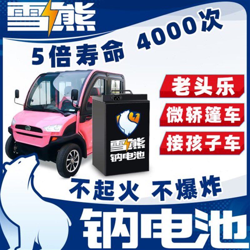 雪雄钠离子电池组平替48~72v锂电动篷车老头乐微轿接孩子三轮四轮