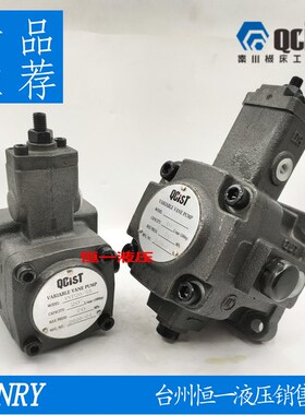 QCIST秦川机床数控j油泵VVP15B/20 VVP20B/35 VVP30B/55 VVP40B/7