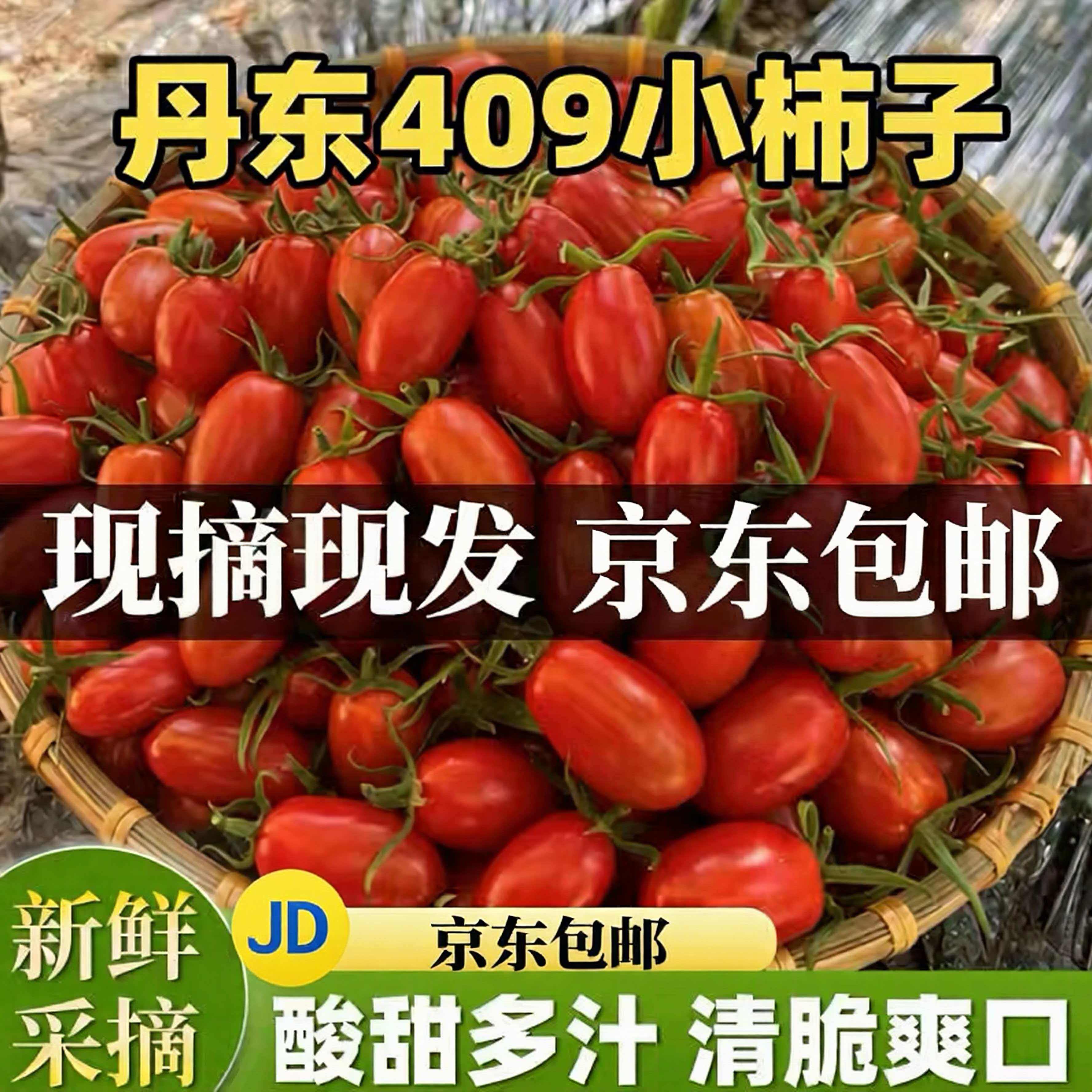 【京东送货上门】409小柿子花生小番茄现摘当季新鲜千禧圣女水果