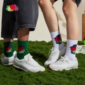 THE FRUIT LOOM鲜果布衣运动透气秋冬水果罗纹棉袜中筒袜男女