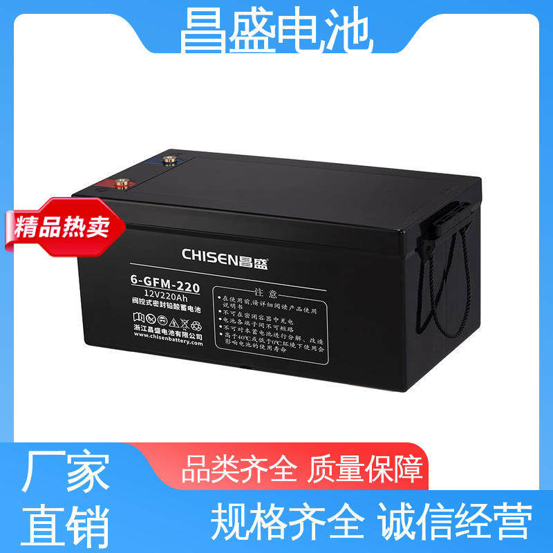 昌盛 6-GFMJ-220 eps电源 通讯系统 胶体电池 售后维护