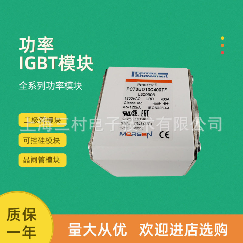 全新熔断器保险丝DN00UB69V16L V330275 DN00UB69V20L T330274