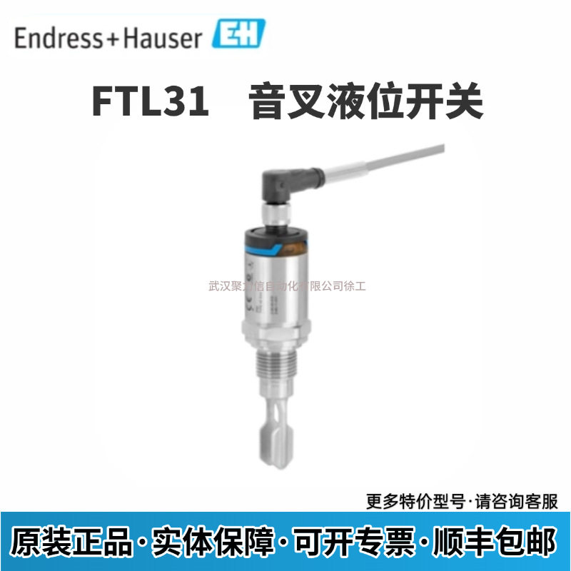 E+H音叉液位开关FTL31现货