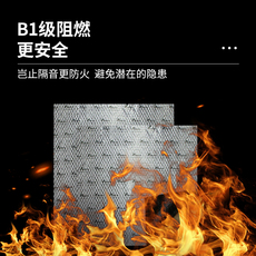 阻尼片