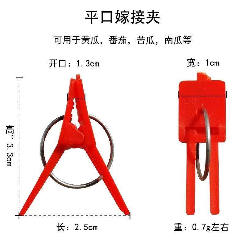 热销嫁接小夹子黄瓜嫁接夹苗卡子嫁接蟹爪兰圆口芽接瓜苗育苗植物