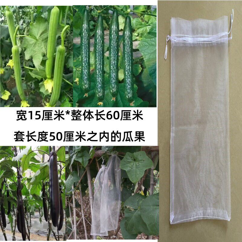 热销瓜果蔬果套袋丝瓜黄瓜苦瓜茄通用蔬菜专用果袋防虫防鸟水果网