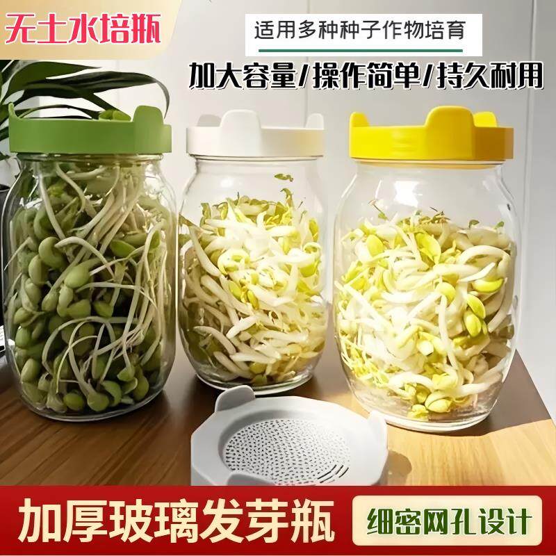 热销家用梅森瓶发芽罐水培芽菜加厚玻璃育苗瓶发豆芽盆桶生豆芽神
