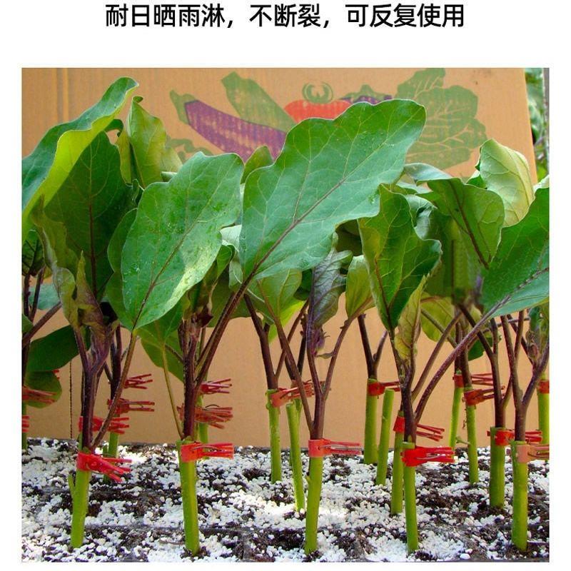 热销嫁接夹子叶仙嫁接蟹爪兰黄瓜番茄甜瓜茄子西瓜蔬菜育苗专用嫁