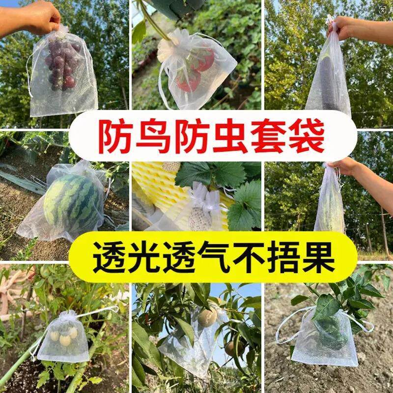 热销包果子的袋子防虫网纱袋水果套袋防鸟果树无花果葡萄桃子草莓
