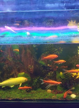 热销彩色led灯管t5t8一体化红色蓝色绿色紫色红紫绿蓝光鱼缸日光