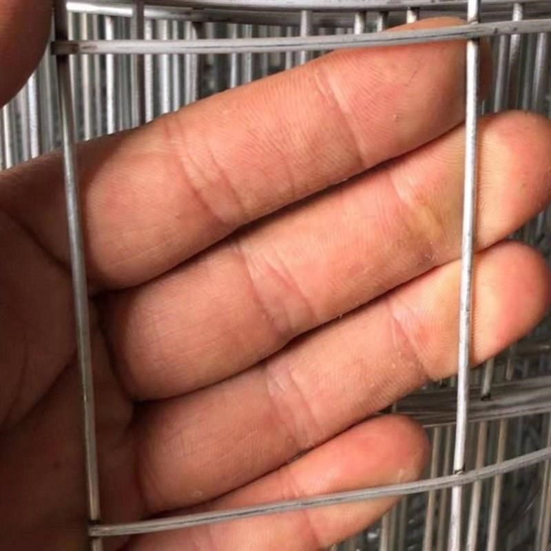 热销新品新品镀锌铁丝电焊网片养殖网围栏网钢丝网K狗笼小孔加粗