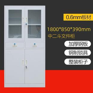铁皮文件柜办公文件柜钢制储物柜档案资料柜带锁中二抽成都可定制