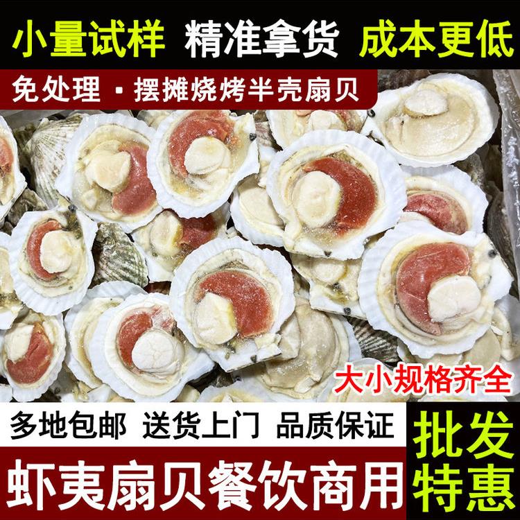 扇贝鲜活特大半壳冷冻新鲜海鲜原贝蒜蓉粉丝烧烤食材夏夷扇贝商用