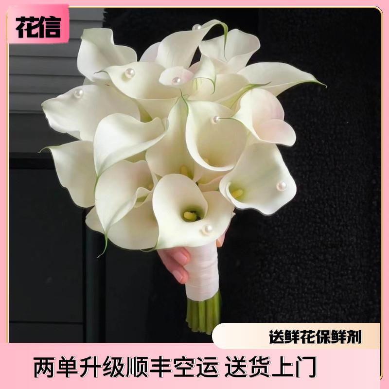 白色马蹄莲鲜花切花进口马蹄莲水养真花婚庆手捧花办公室水养鲜切