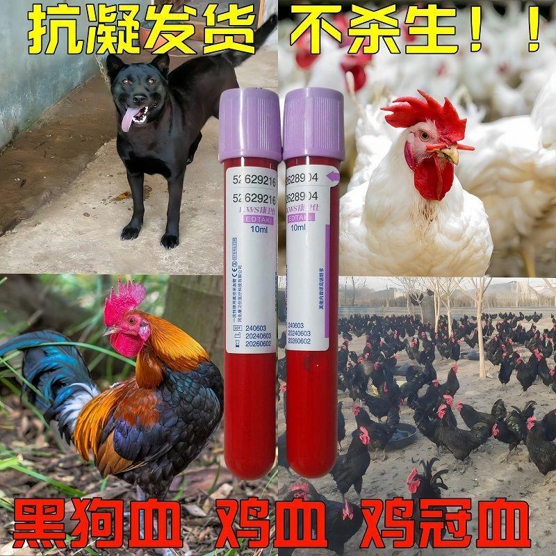 道家黑狗血纯黑无杂毛黑鸡血白鸡血鸡冠血可调制朱砂液体红色墨汁