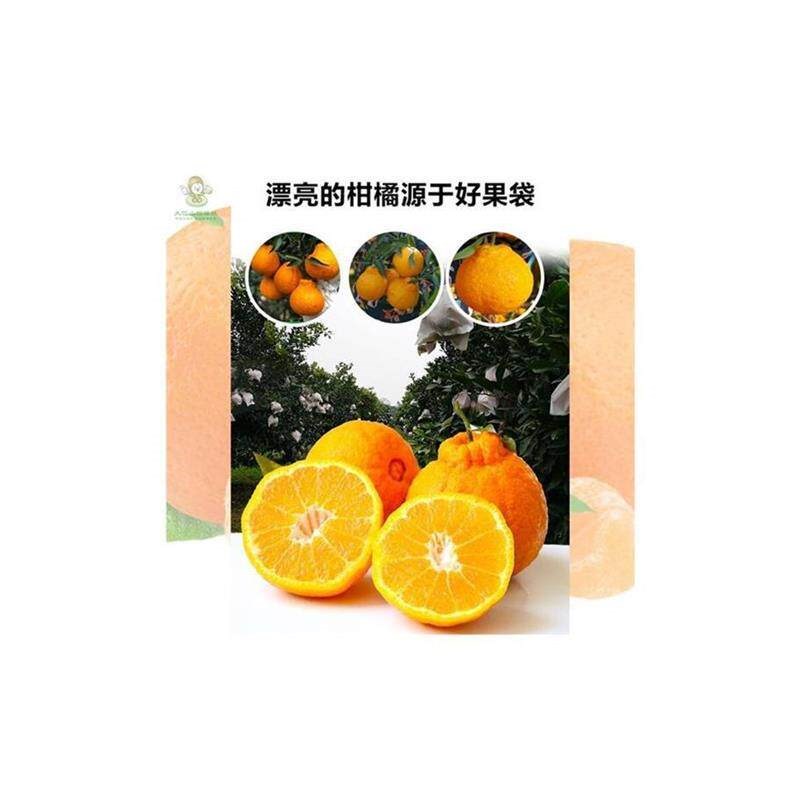 热销绿果林果袋柑子果树袋袋子水果袋防虫防鸟防水套袋火橘子粑粑
