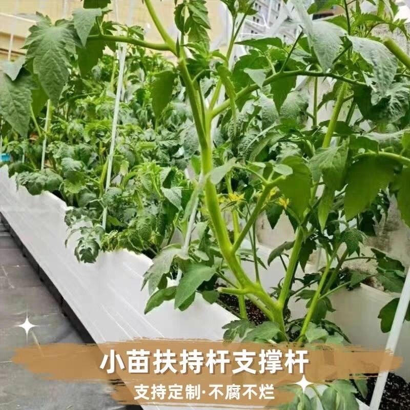 热销黄瓜西红柿架子支撑杆豆角爬藤架菜园支架固定植物拱棚玻璃纤