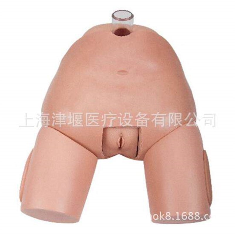 热销供应男性膀胱穿刺模型护理教学模型护理培训用具津堰