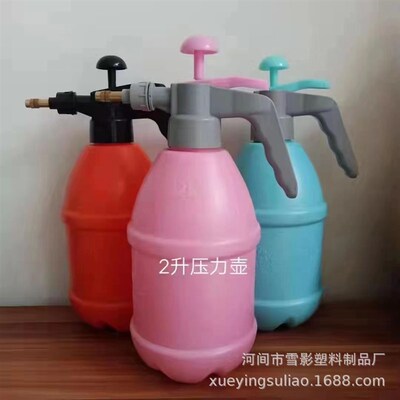 热销现货供应2升刻花气压壶手持消毒喷壶园艺浇花喷壶家居清洗喷