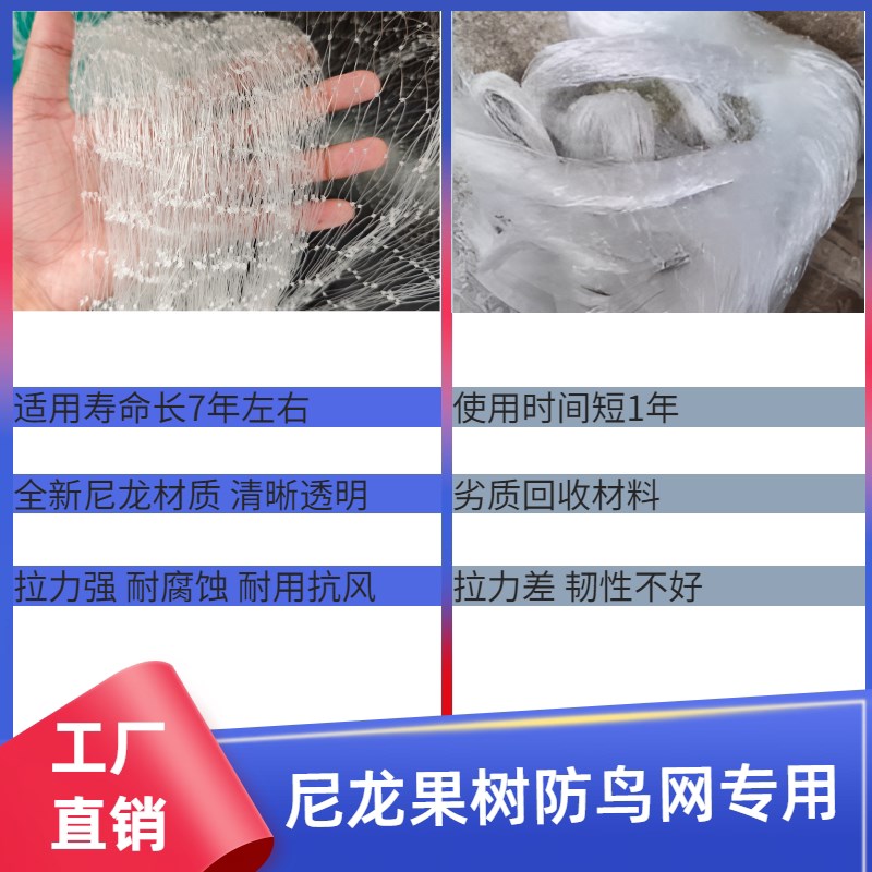 热销果树防鸟网围网防小鸟的网果园菜地大棚防护养殖网阳台丝网专