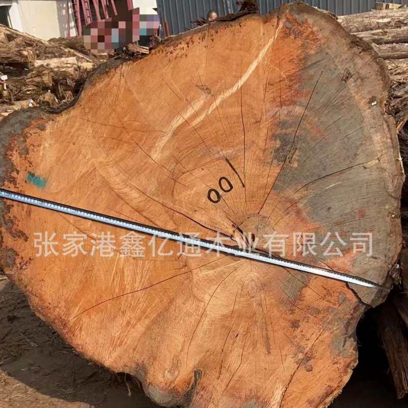 黄香柏 原木木棒 红香柏木材 加工工程棺材崖柏木木板 香柏木