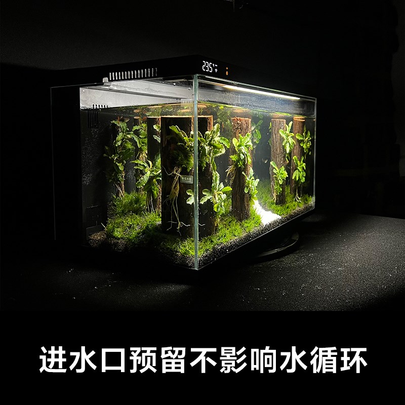 热销鱼缸造景适配当贝鱼缸成品一体式森林造景沉木石头真水草造景