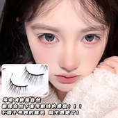 热卖 桃汽熊免胶假睫毛一片式 2025新款 一整条婴儿直整簇可撑双眼皮