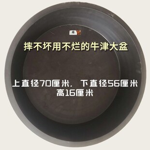 热销鸡鸭鹅禽类喂食盆牛羊喂养食盆龟槽牛筋胶盆耐用食盆饲养盆饲