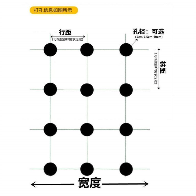 热销打孔地膜农用种植防草菜地玉米地钻孔带孔薄膜黑膜银黑地膜免