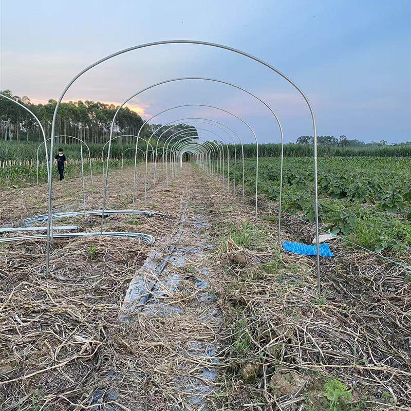 热销瓜棚管架毛节瓜苦瓜丝瓜豆角爬藤架菜园拱棚架花圃拱形架暖棚