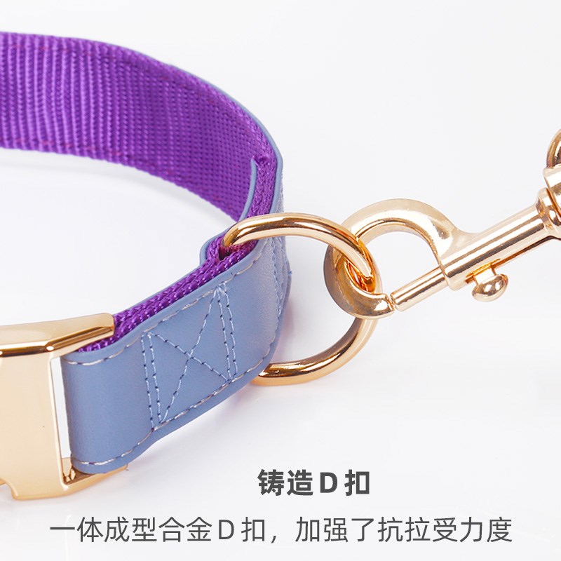 热销狗狗项圈中大型犬拉布拉多脖圈可调节皮质颈圈防丢狗牌定制