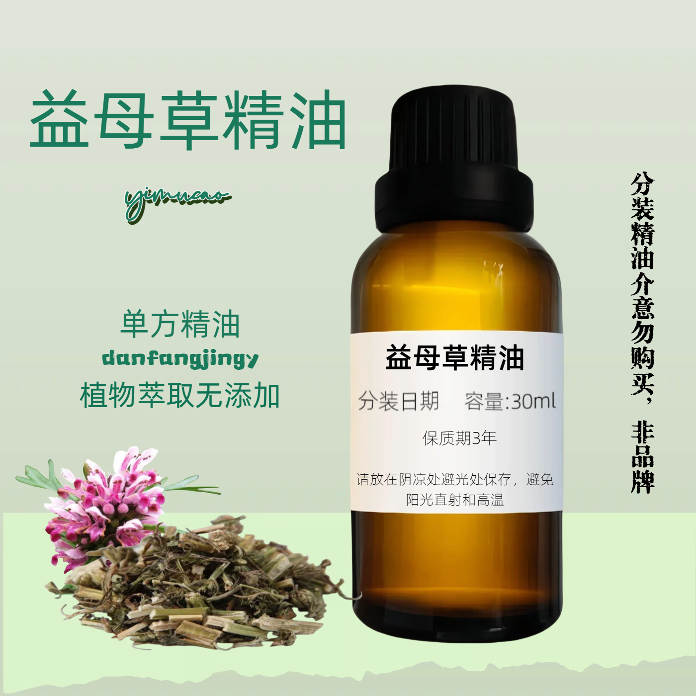 单方精油益母草精油天然调理