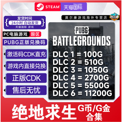 PUBGG币CDK兑换码绝地求生金币吃鸡G游戏币皮肤点卷正版充值激活