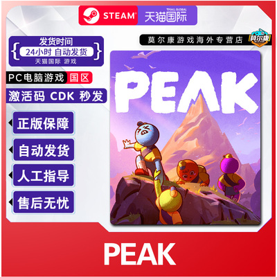 Steam PEAK 拉我一把 国区激活码CDKEY 正版PC游戏