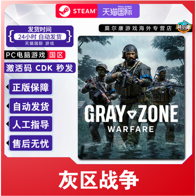steam 灰区战争 激活码CDKey Gray Zone Warfare 国区 PC正版游戏