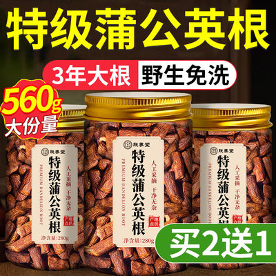 蒲公英根茶天然野生炒熟根去火正品官方特级店长白山养生茶