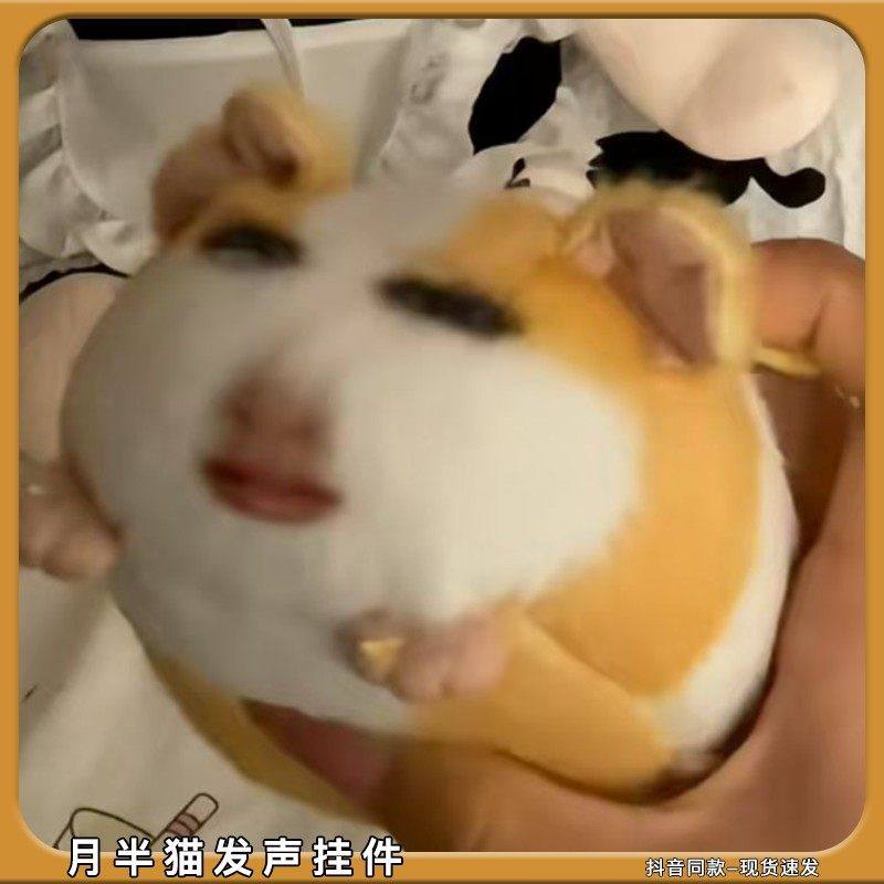 猪妞发声挂件搞怪荷兰猪毛绒公仔可录音说话的月半胖猫表情包玩偶