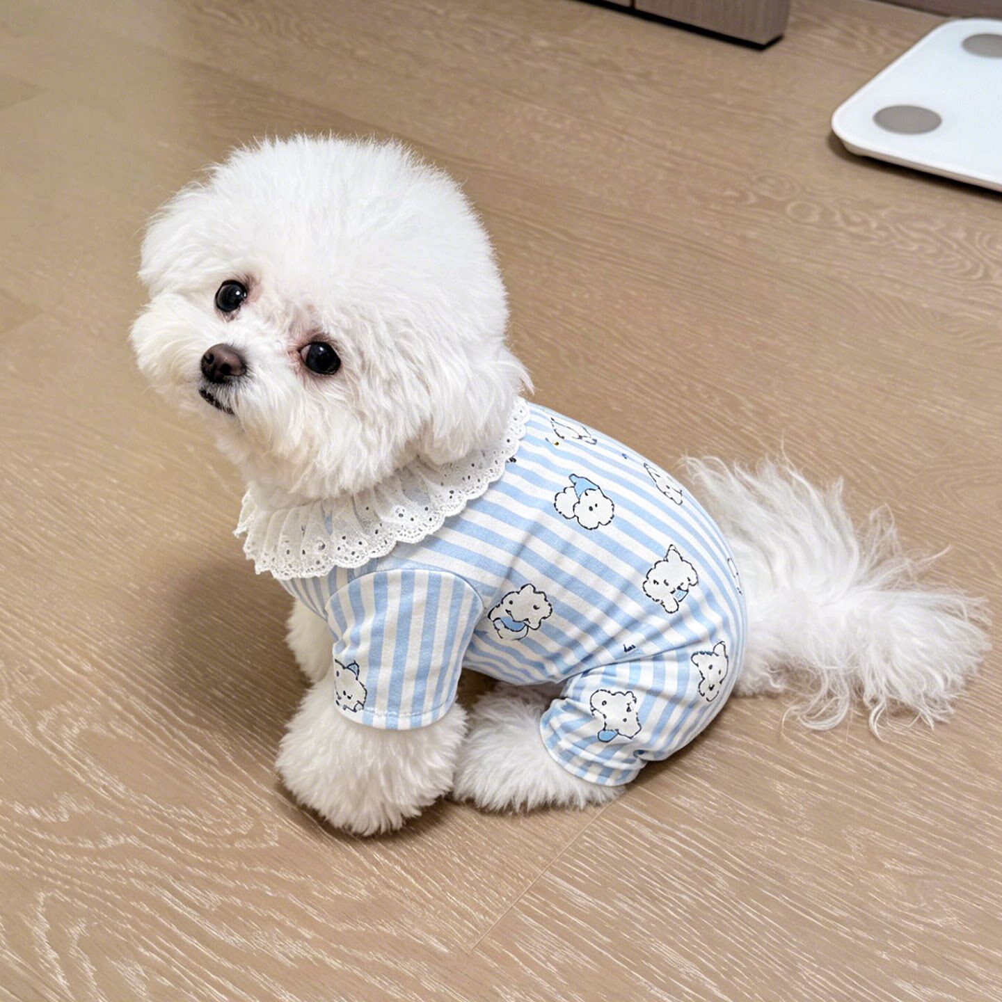 小狗衣服夏天薄款凉凉衣透气2026新款比熊防掉毛宠物猫狗漂亮衣服