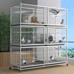 鸽子笼家用繁殖配对笼养鸽子专用肉鸽养殖笼子专业大型元鸽笼。