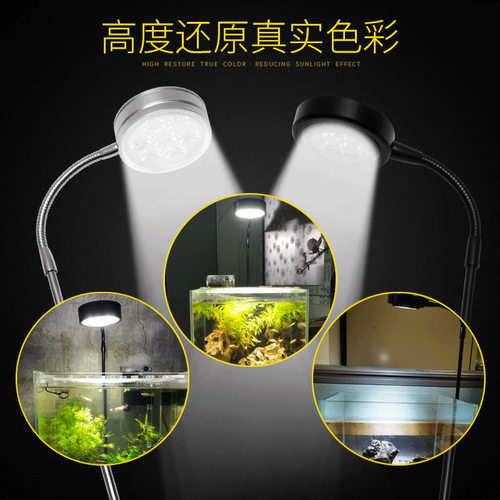 加瑞华水草爆藻补光灯 迷你鱼缸灯微景观ledP雨林缸植物多肉补光