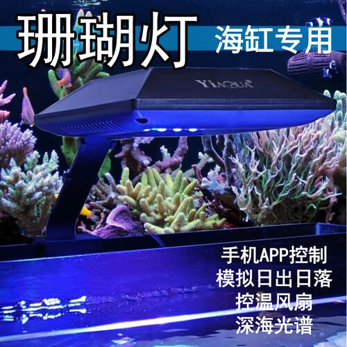 海缸珊瑚灯珊瑚鱼缸水草专用灯全光谱LED造景定时蓝白补光灯架24w