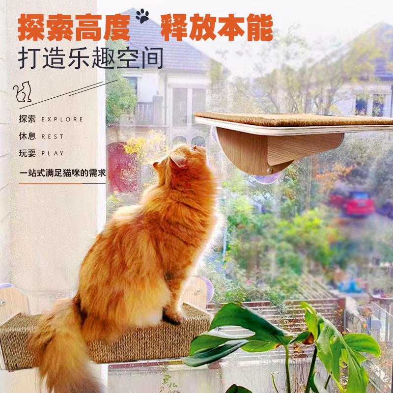 猫墙吸盘猫爬架窗户玻璃免打孔透明猫窝实木多层板猫咪太空舱吊床