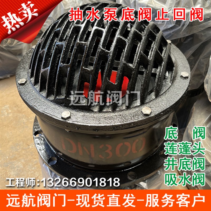 H42X法兰底阀止回阀 抽水泵吸水海底阀莲蓬头DN50 80 100 150 200