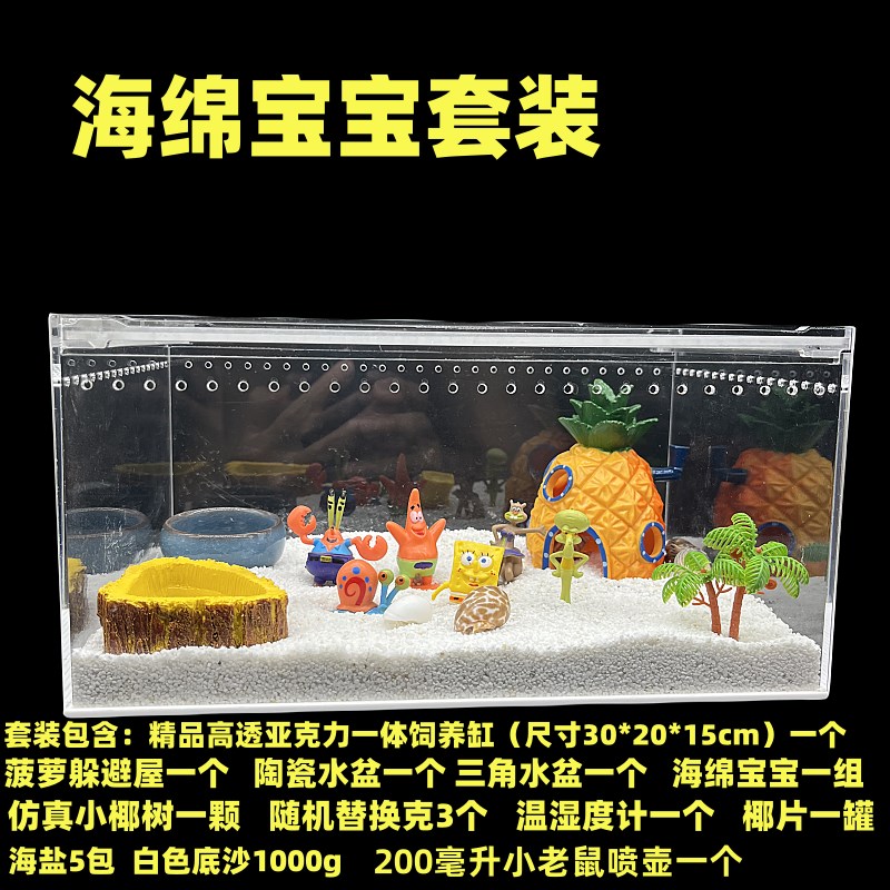 寄居蟹压克力一体斜面大饲养箱套餐 新手套装送蟹礼物造景缸
