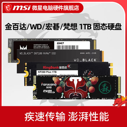 金百达/WD西数 SN7100/宏碁 GM7 /梵想 1TB 电脑固态硬盘SSD 1t