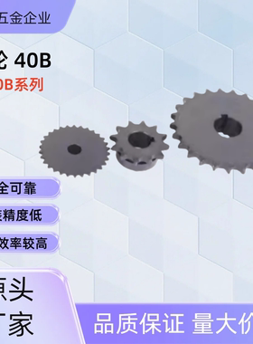 链轮 SP40B21-N-14 /15/16/17/18/19/20/22/24/25/28/30/32/35/40