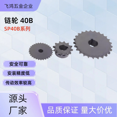 链轮 SP40B21-N-14 /15/16/17/18/19/20/22/24/25/28/30/32/35/40