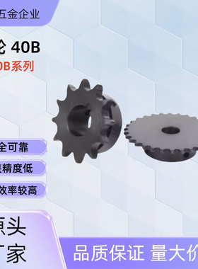 链轮 SP40B13/14-N-12 /14/15/16 /17/18/19/20/22  SP40B14-N-15